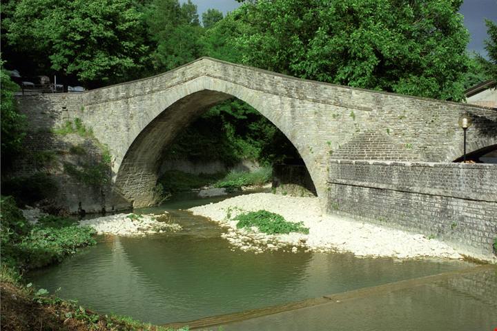 Tartufo delle Marche attraverso i suoi borghi | PaesiOnLine